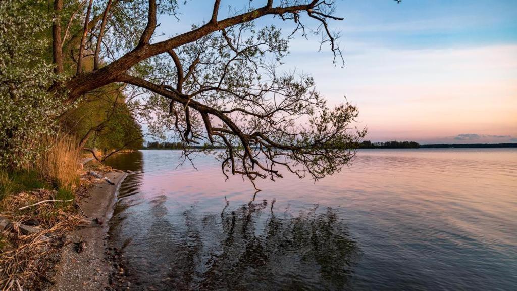 Giżycko-Przerwanki Domki Widok na Mazury Zewnętrze zdjęcie