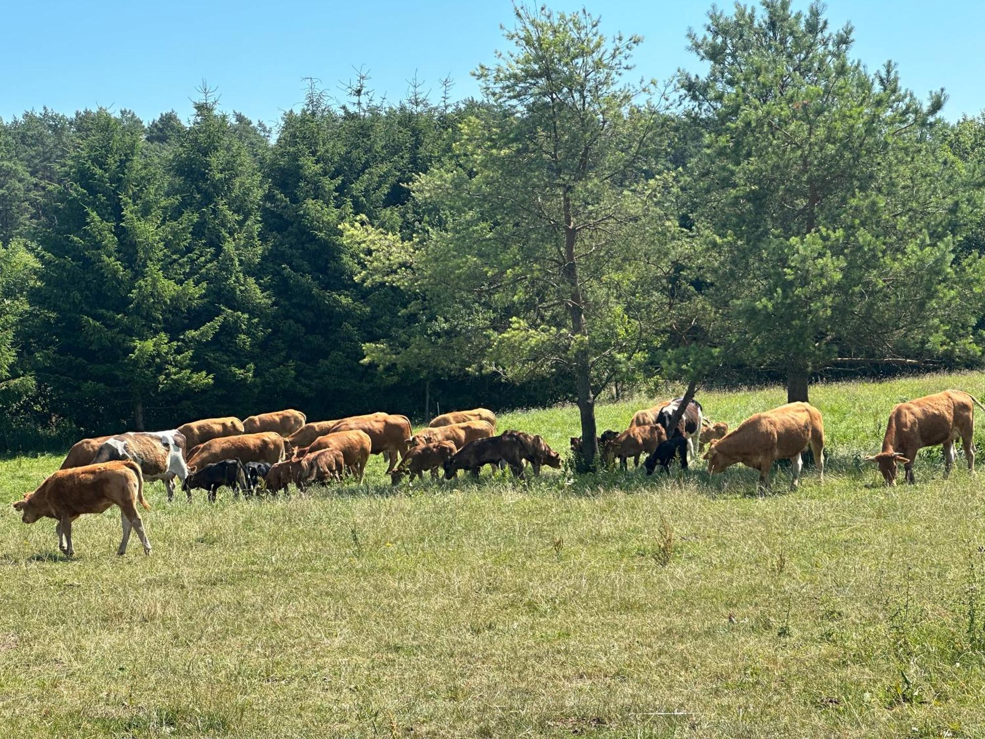 Giżycko-Przerwanki Domki Widok na Mazury Zewnętrze zdjęcie
