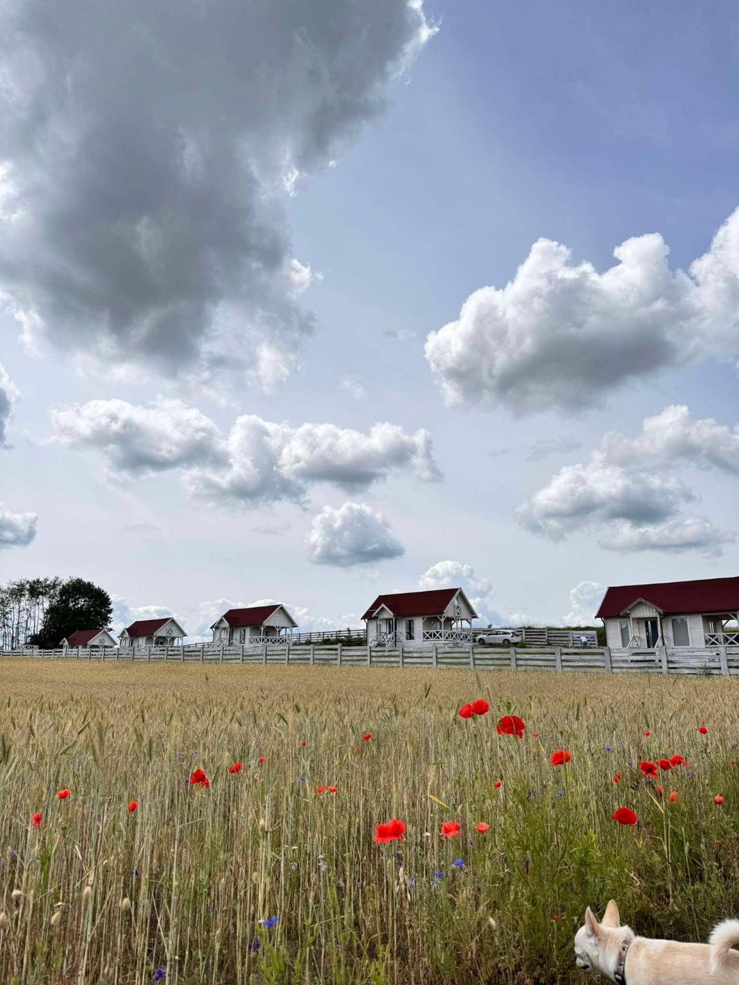 Giżycko-Przerwanki Domki Widok na Mazury Zewnętrze zdjęcie